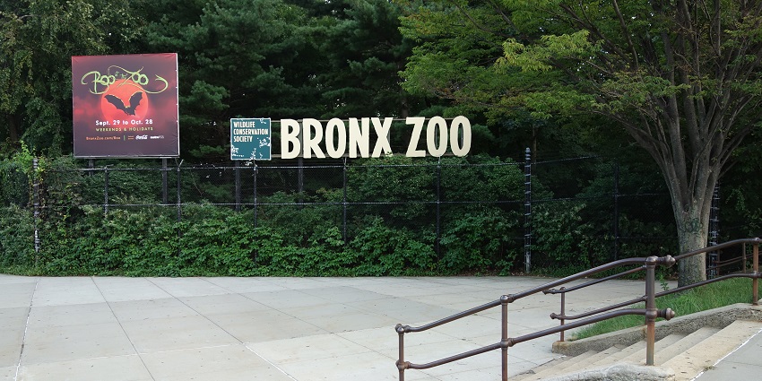 An image of the entrance to the Bronx Zoo, a renowned Zoo in the United States.