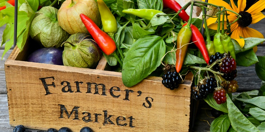 Local market full of fresh produce and handmade items, great for things to see in Beacon.