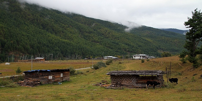 Bumthang Valley with traditional homes and farmlands set among forested hills.