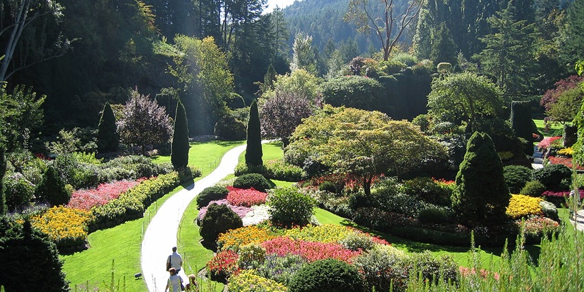 Early spring flowers blooming at Butchart Gardens, a top thing to see in BC in March.