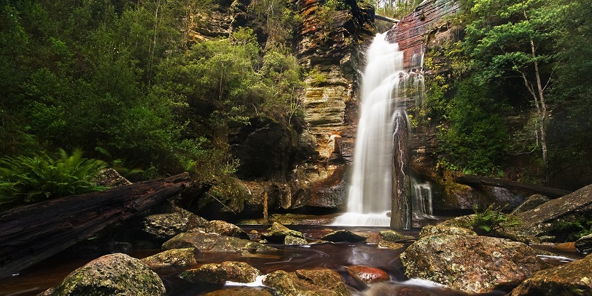 Butterfly Falls, a beautiful waterfalls in Belize, is surrounded by lush nature and tranquility.