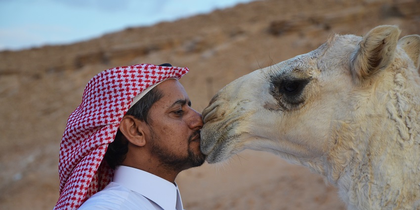 A man dressed traditionally affectionately kisses a camel's nose in a peaceful desert.
