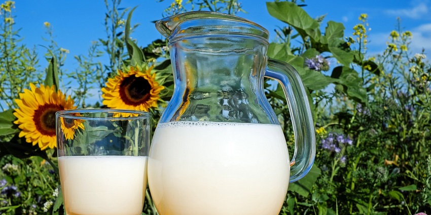An image showing milk that looks similar to the camel milk in Saudi Arabia.