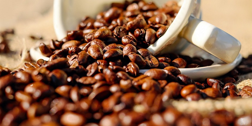 A selection of Canadian coffee beans, a top item to buy in Canada for coffee lovers.