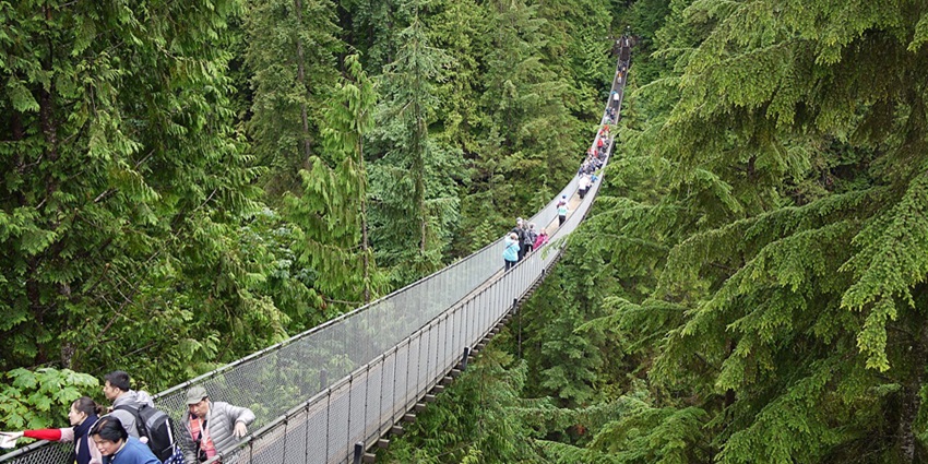 Visitors walking the Capilano Bridge are among the best things to do in BC, Canada.