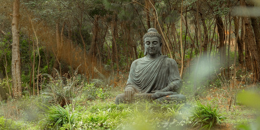 Make sure to click beautiful pictures of the Samadhi Buddha Statue and the lush surroundings
