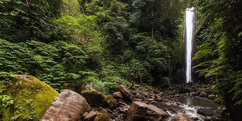 Casaroro Falls cascading into a rocky pool, surrounded by dense tropical foliage