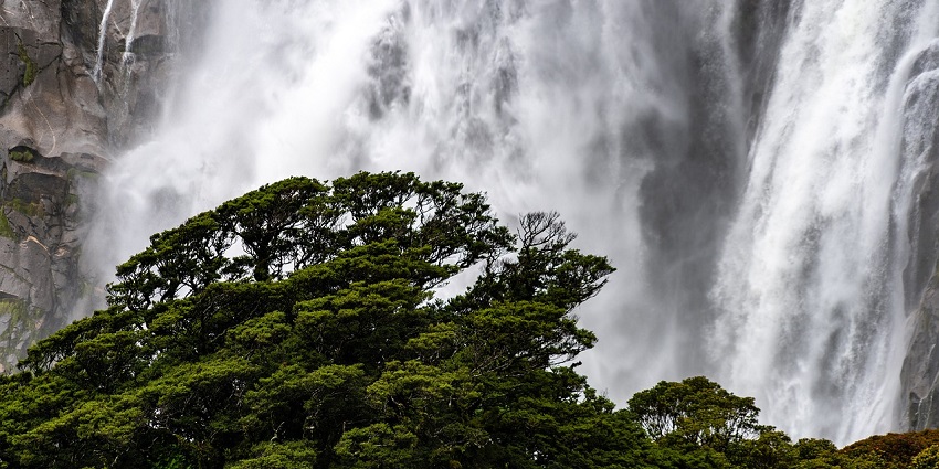 A serene waterfall flows in dappled light beneath tall trees in a quiet forest glade.