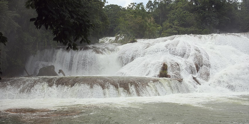 Turquoise water of Cascada de Agua Azul flows over light-coloured rocks in lush greenery.