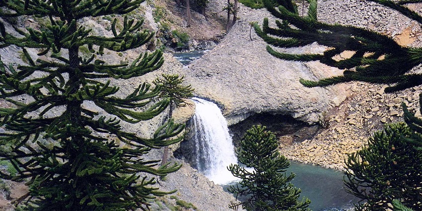 Cascada Escondida waterfall surrounded by lush coihue trees in Lago Puelo National Park.