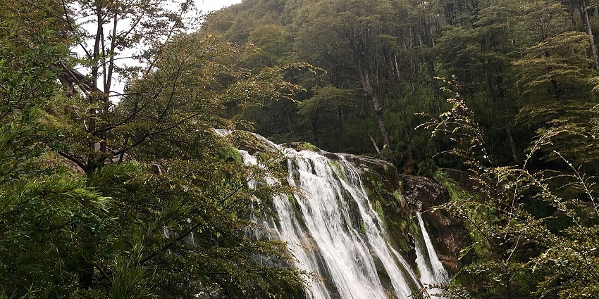 Scenic view of Cascada Ñivinco waterfall flowing through lush forest in Neuquén.