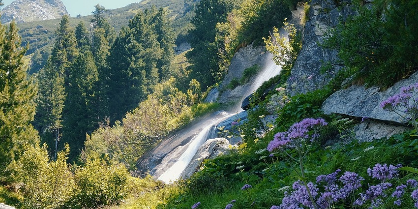 A graceful waterfall cascades down a steep cliff, situated in mountains and green foliage.