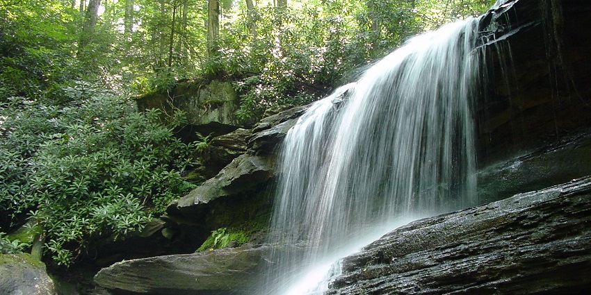 Water Run Falls cascading over rocks, surrounded by lush green vegetation and foliage