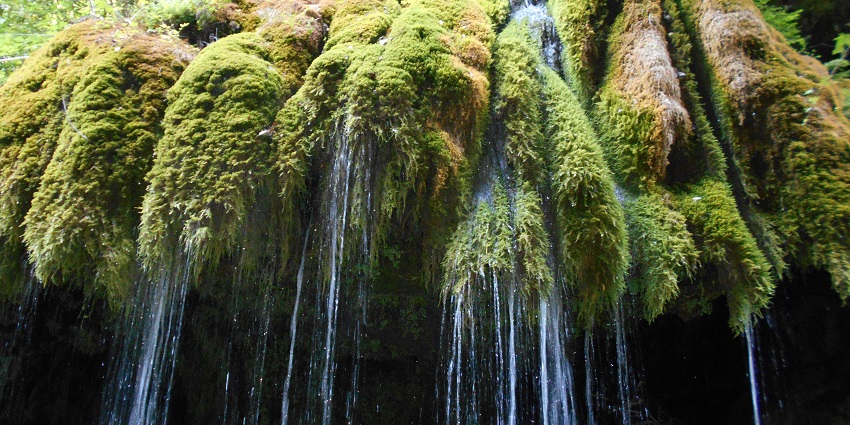 Cascate Capelli di Venere flowing from thick green and yellow bushes over a cliff