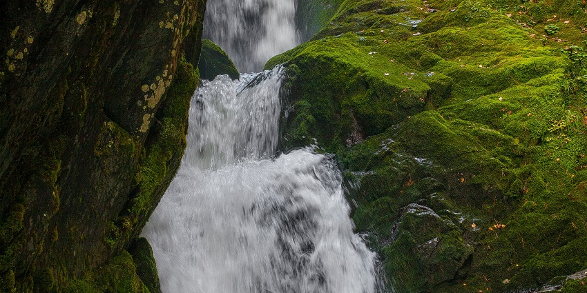 A narrow waterfall flowing from above and passing through rocks covered in moss