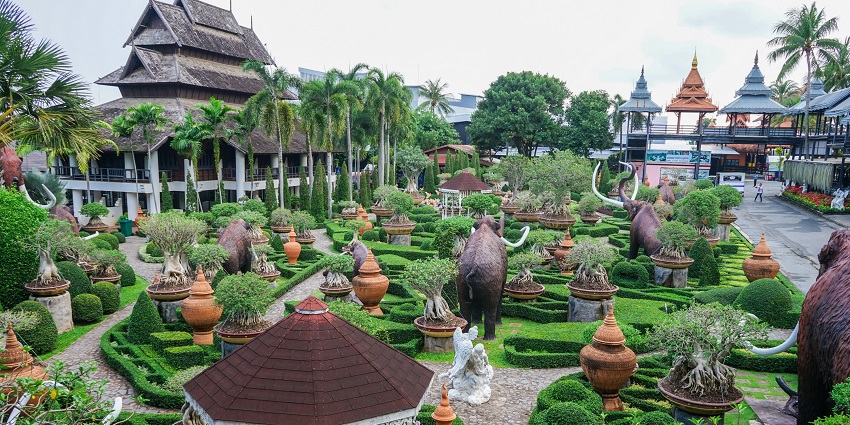 Witness the various attractions and vibrant blooms inside thr garden