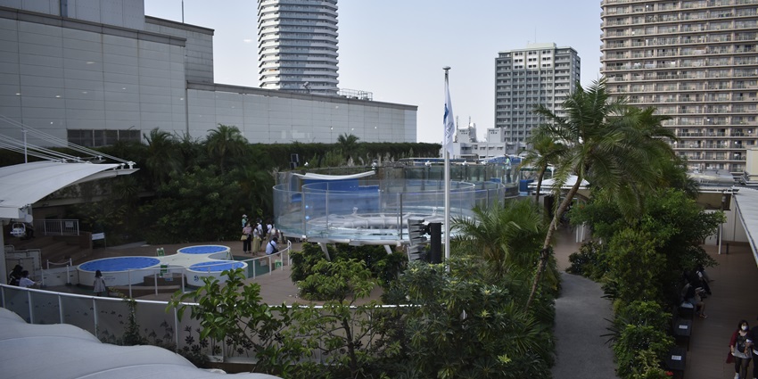 Things to do in Toshima include relaxing at this aquarium featuring ocean-themed exhibits.