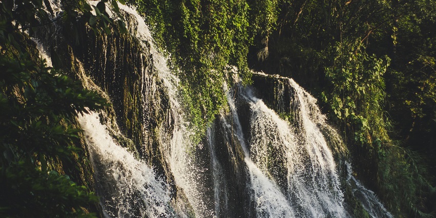 Gentle streams tumble down mossy cliffs, surrounded by dense, sunlit greenery.