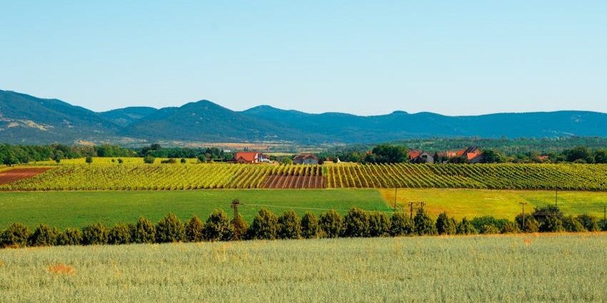 A wide view of Colchagua Valley, one of the beautiful valleys in Chile for wine tours and scenic beauty.