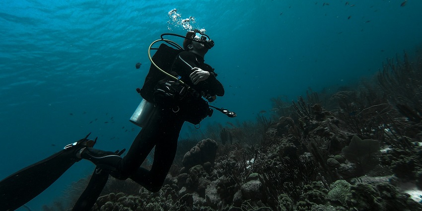 A woman exploring the garden of eels and corals in the water while scuba diving at Koh Ha