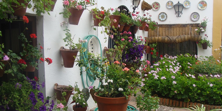 Colourful flower pots decorate a charming Andalusian courtyard with whitewashed walls.
