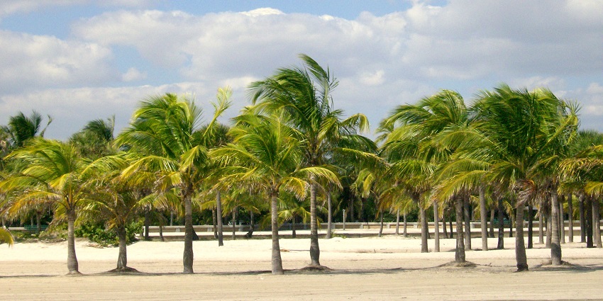 Families enjoy sunny beaches and calm waters, making Crandon Park a favourite spot.