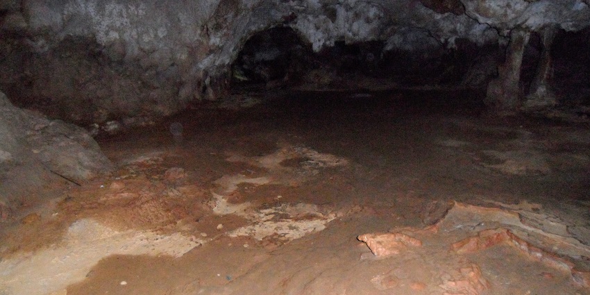 An image of a rugged path that is leading to one of the Aruba caves wilderness.