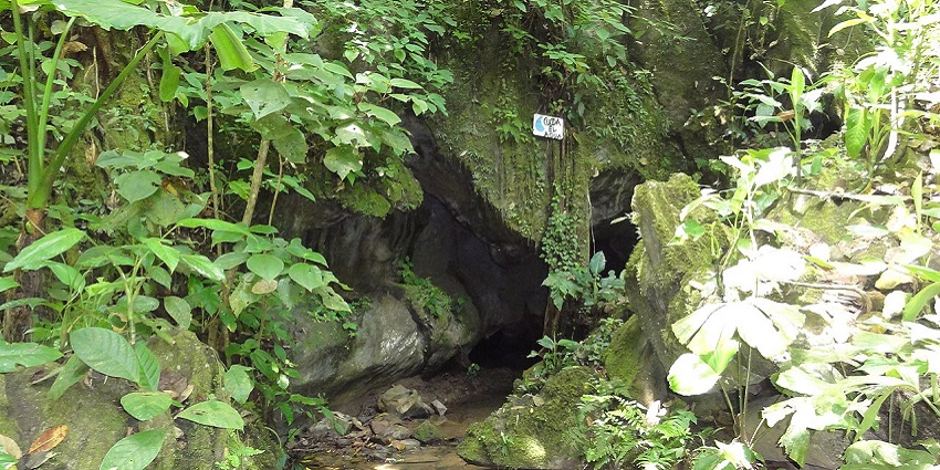 An image of the mysterious entrance of Cueva del Diablo surrounded by thick forest in Mexico.
