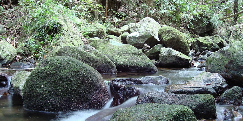 Lush rainforest mountains with cascading rivers and granite boulders in the valley.