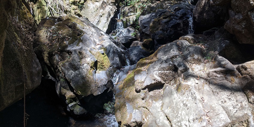 Water flowing through large moss-covered boulders, surrounded by plants and tree roots.
