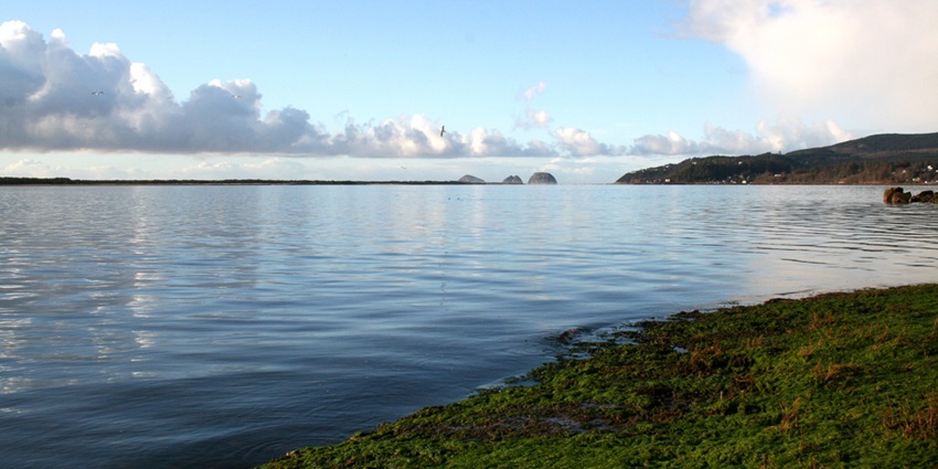 Expansive view of Netarts Bay at low tide with sandy flats and distant hills.