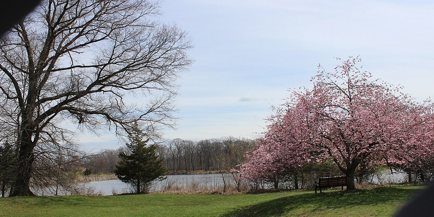 Wander through blooming rose gardens, one of the prettiest things to do in Somerset County.