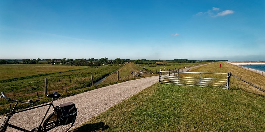 Discover the Bethany Beach Nature Trail, one of the best things to do in Bethany Beach.