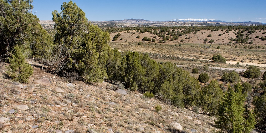 An image of the Hart Canyon, a place to visit, one of the best things to do in Aztec, NM.