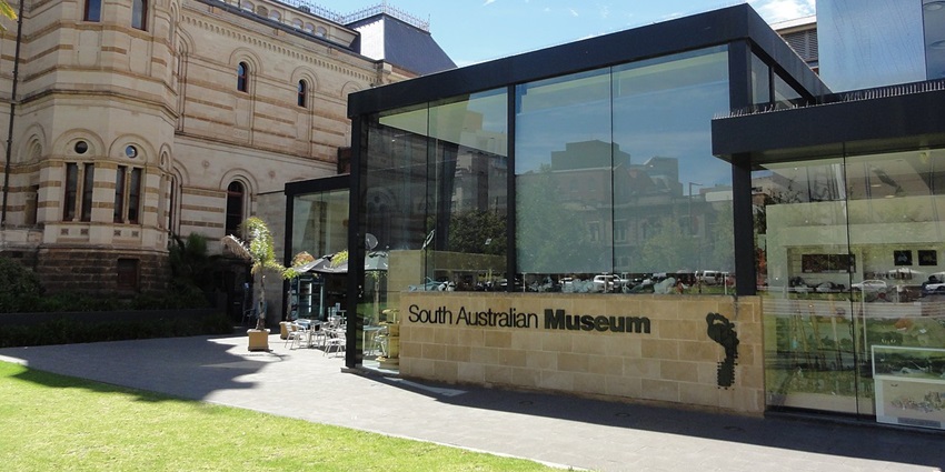 An image showing the South Australian Museum, a popular place to visit in Adelaide in June.