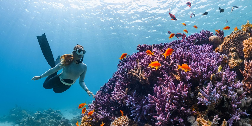 Visit the La Caleta Underwater National Park, among popular things to do in Boca Chica