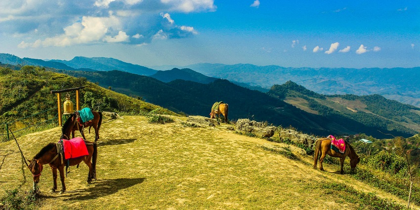 Doi Pha Tang offers sweeping mountain views, dramatic limestone cliffs, and sea-of-cloud sunrises along the Thai-Laos border, perfect for peaceful scenic adventures.