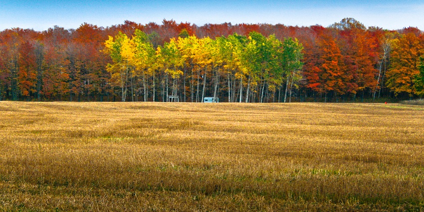An image of a scenic view of Door County shoreline, a peaceful escape near Chicago.