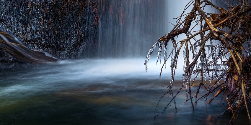 Dukes Creek Falls and a dry tree branch above the waterbody with roots partially frozen
