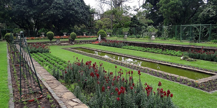 The oldest botanical garden in Africa, home to rare orchids, cycads, and towering trees, is among the best places to visit near Durban.