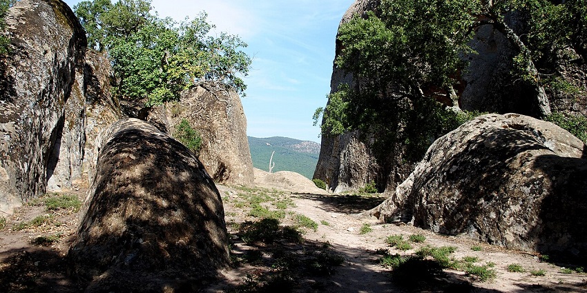 An image of El Feija National Park, a forested Zoos In Tunisia known for its Barbary deer.