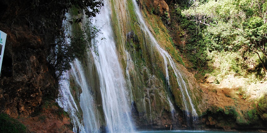 Water cascades over a moss-covered cliff into a clear pool surrounded by large trees.