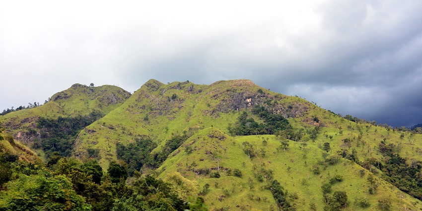 Lush green meadows at the Ella Rock Trailhead, an interesting spot near Little Adam’s Peak.