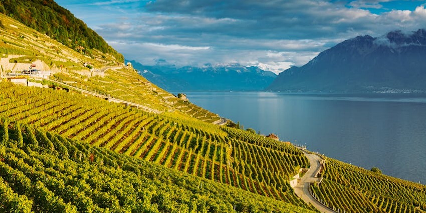 An image of a scenic view of Elqui Valley, one of the famous valleys in Chile.