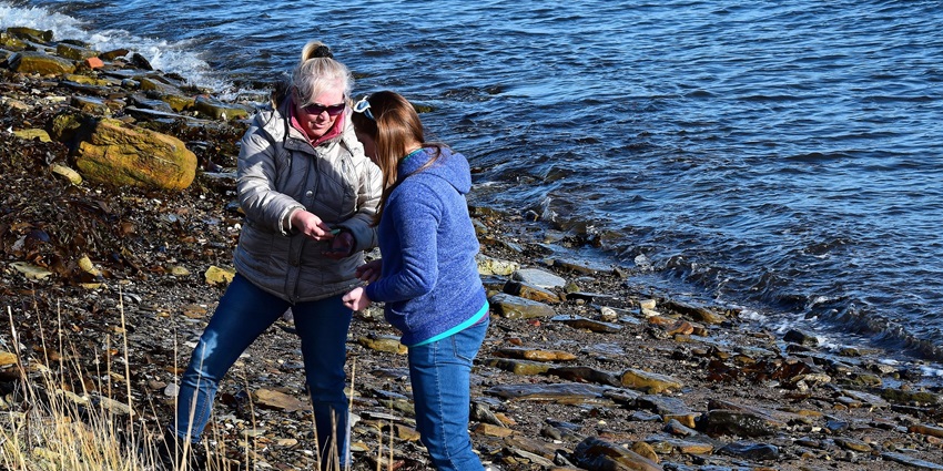An image resembling people beachcombing, among the enjoyable things to do in Avon, NC.