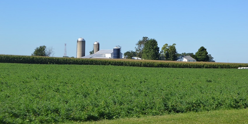 Snyder's Farm offers hayrides and harvests, ideal family things to do in Somerset County.