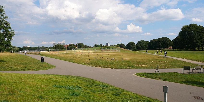 An Image of the stunning Burgess Park Spending time here is one of the top things to do in Athlone.