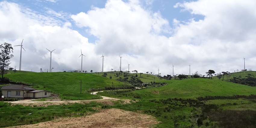 Explore the scenic beauty of the Ambewela farm, which includes rolling hills and pastures.
