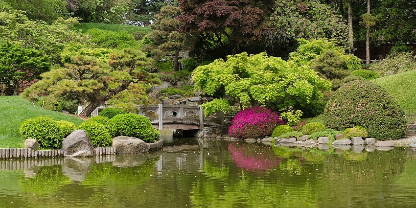 A tranquil space on Lake Victoria’s shore, home to diverse plant species and birdlife.