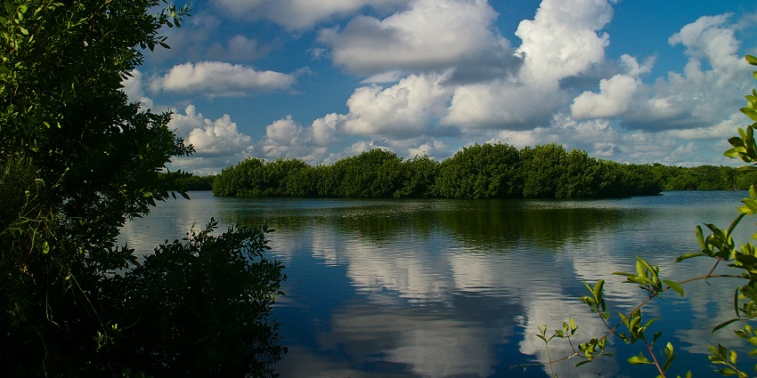 A panoramic view of a winding waterway, one of the serene places to visit near Miami, surrounded by marshy grasslands.